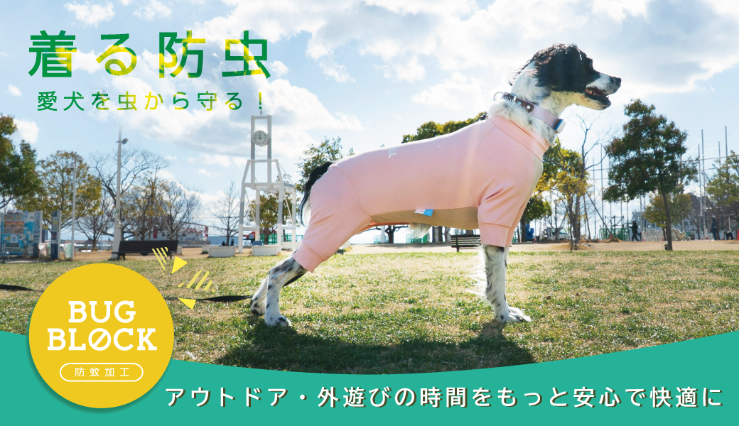 boubun06_main.png