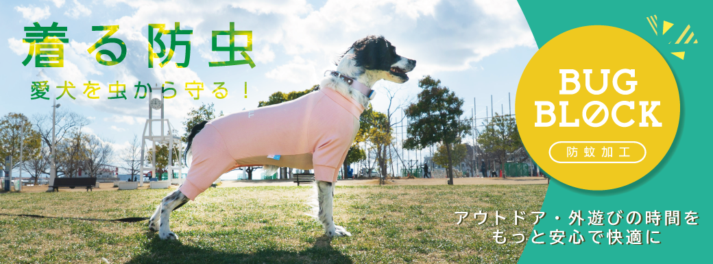 防虫イメージ