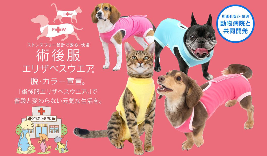 ダックス、猫 、小型犬の服、ドッグスリング（犬用スリング）、犬・猫