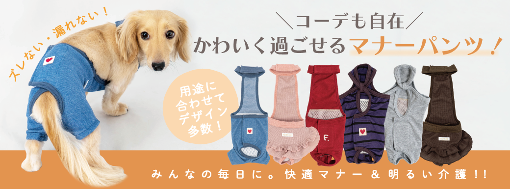 マナーパンツイメージ