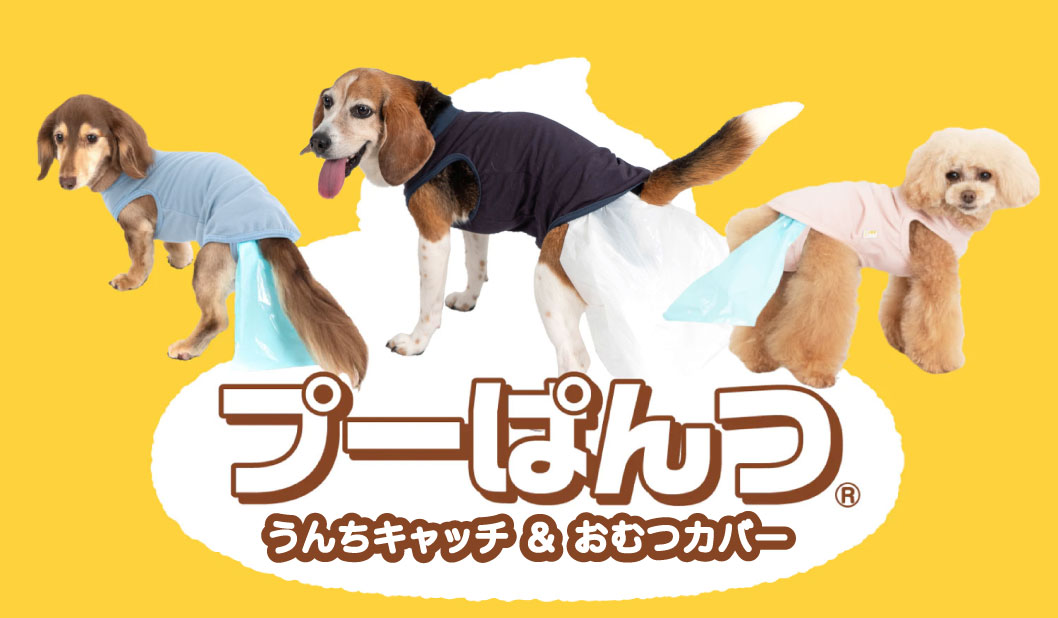 ダックス、猫 、小型犬の服、ドッグスリング（犬用スリング）、犬・猫