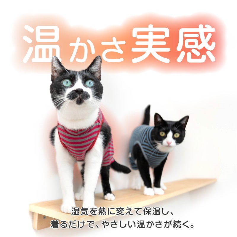 商品画像5