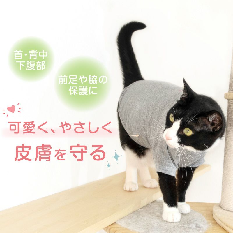 猫用 伸びて 着せやすい シンプル 袖付き Tシャツ | ダックス、猫
