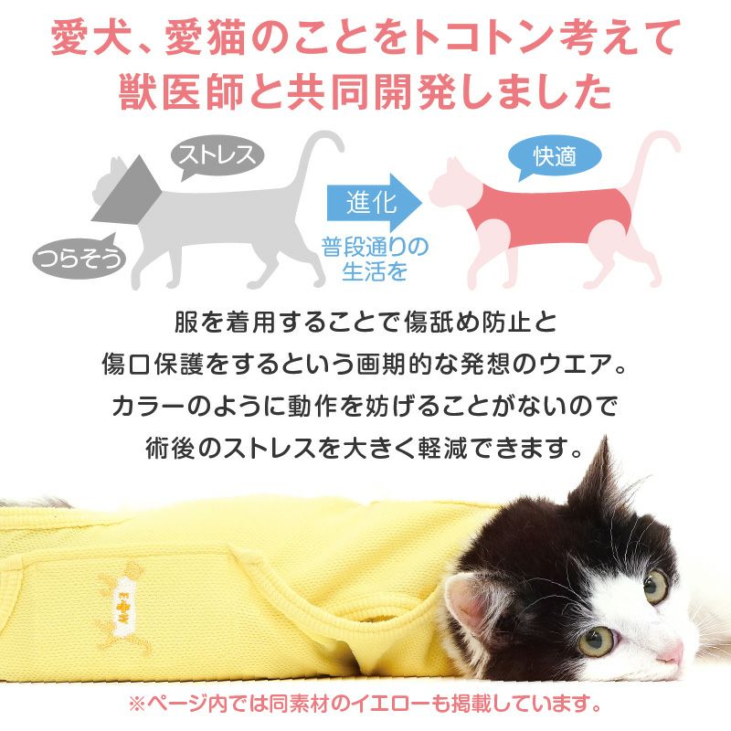 猫用 ハート 刺繍 術後服 エリザベスウエア(R) 男女兼用 体温調整 温度