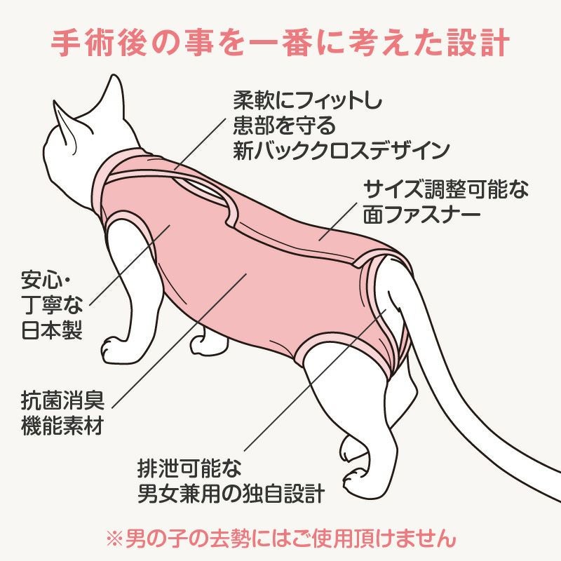 猫用 ハート 刺繍 術後服 エリザベスウエア(R) 男女兼用 抗菌 消臭素材