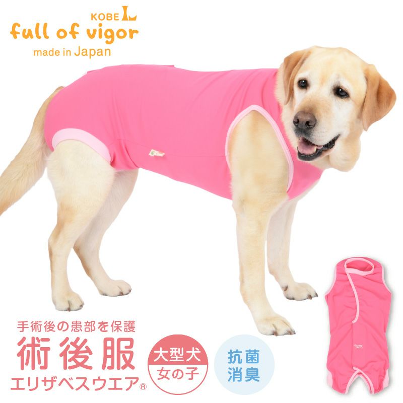 大型犬用 術後服エリザベスウエア(R) 女の子 抗菌 消臭素材 | ダックス