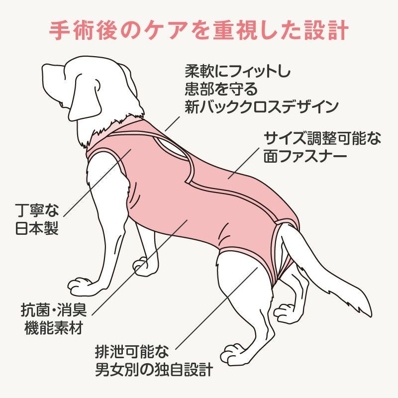 大型犬用 術後服エリザベスウエア(R) 女の子 抗菌 消臭素材 | ダックス