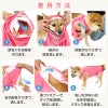 6/ピンク
