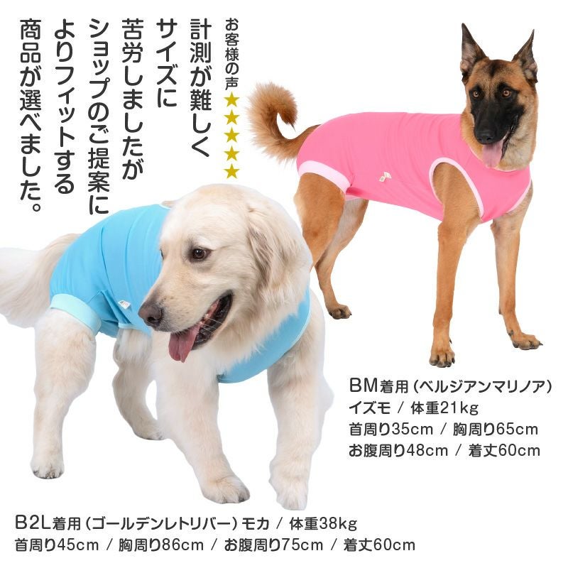 大型犬用 術後服エリザベスウエア(R) 女の子 抗菌 消臭素材 | ダックス