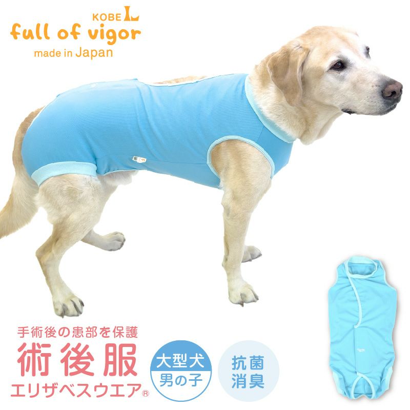 術後服エリザベスウエア 獣医師も推奨｜愛犬・愛猫の術後に最適