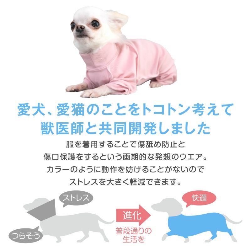 皮膚保護服 スキンウエア(R) 女の子 ダックス 小型犬用 抗菌 消臭素材
