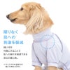 皮膚保護服スキンウエア(R)(男の子/ダックス・小型犬用/抗菌・消臭素材)