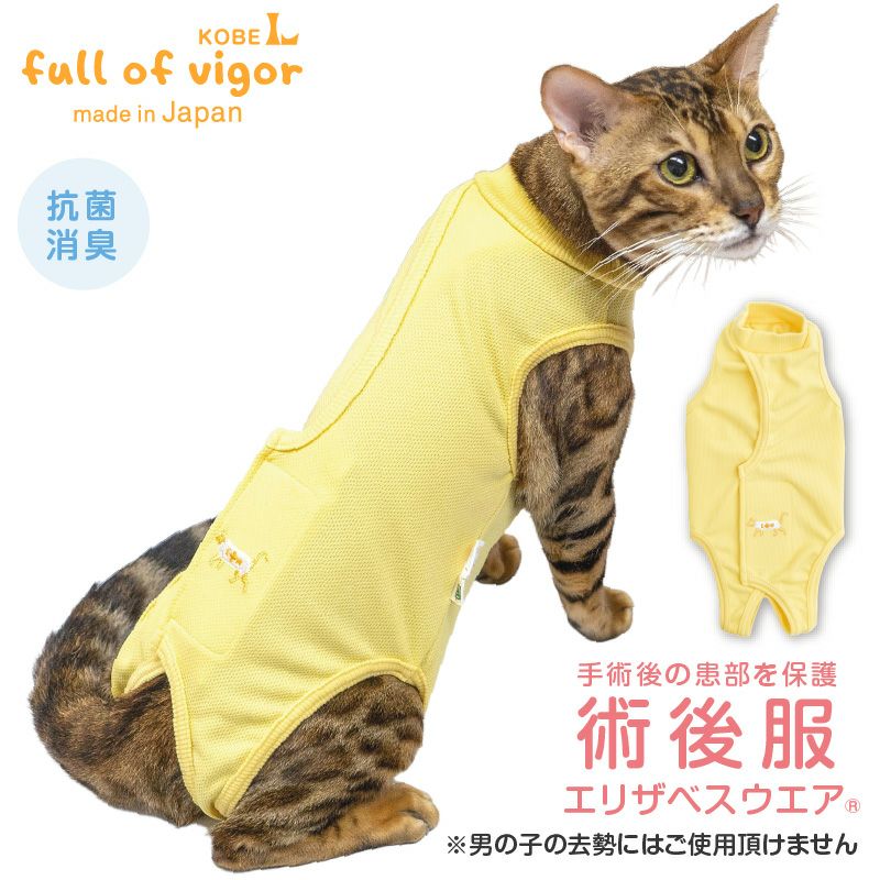 猫用 術後服 エリザベスウエア(R) 男女兼用 抗菌 消臭素材 | ダックス