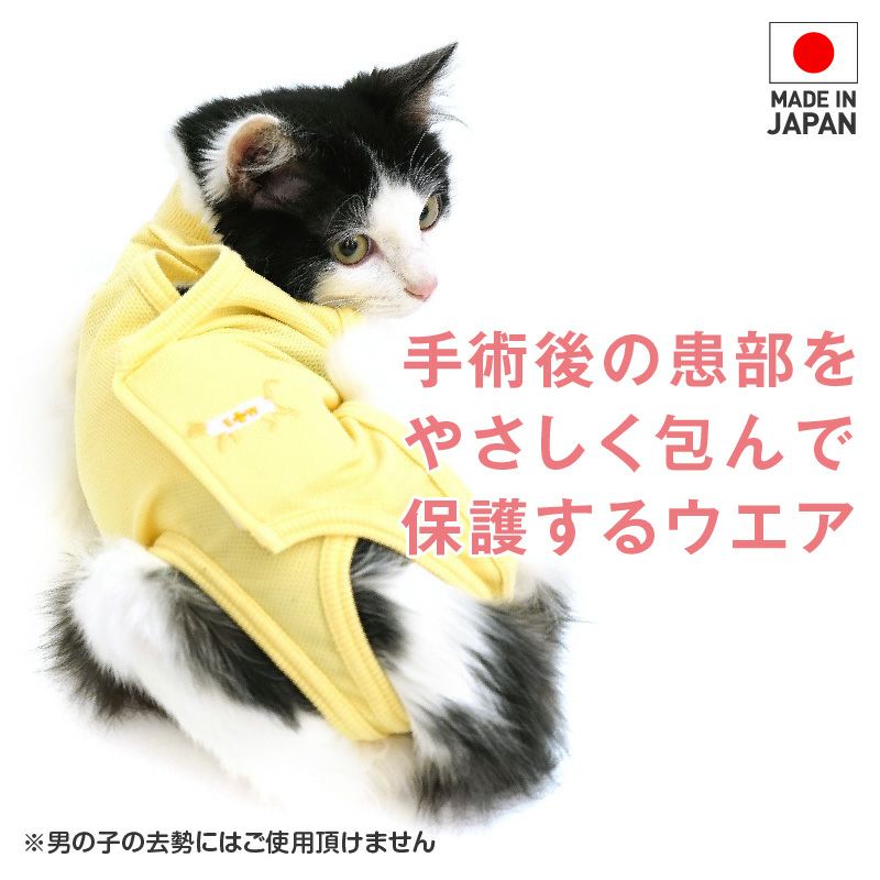 猫用 術後服 エリザベスウエア(R) 男女兼用 抗菌 消臭素材 | ダックス