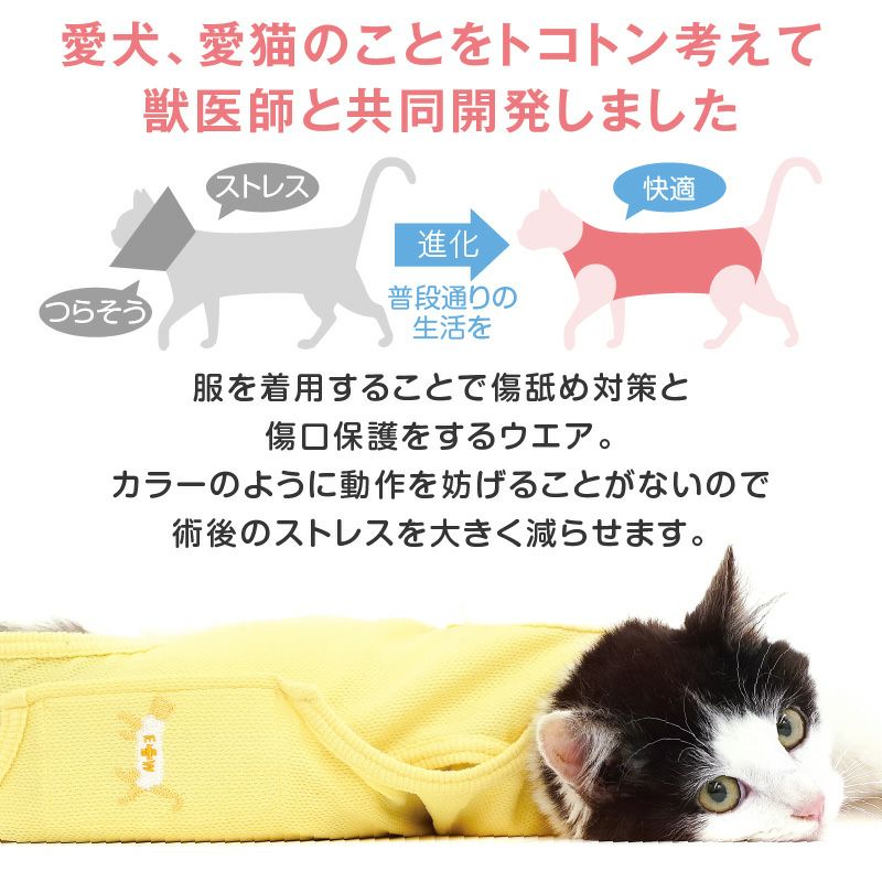 猫用 術後服 エリザベスウエア(R) 男女兼用 抗菌 消臭素材 | ダックス