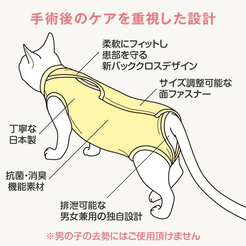 猫用 術後服 エリザベスウエア(R) 男女兼用 抗菌 消臭素材 | ダックス
