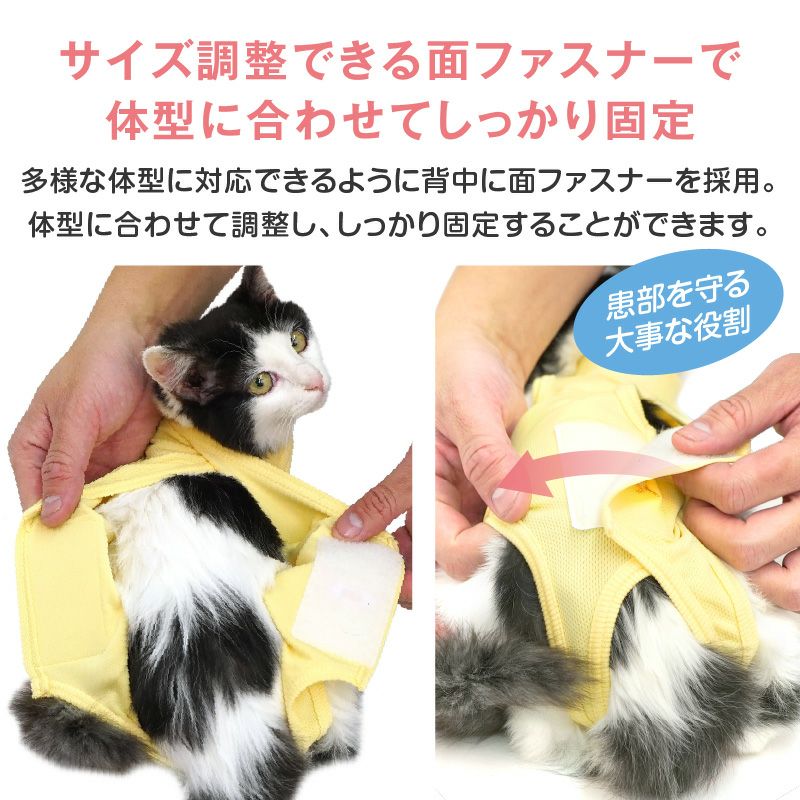 【ねこ】Sサイズと付け袖 猫用 術後服 エリザベスウエア(R) 男女兼用 抗菌 消臭素材 | ダックス