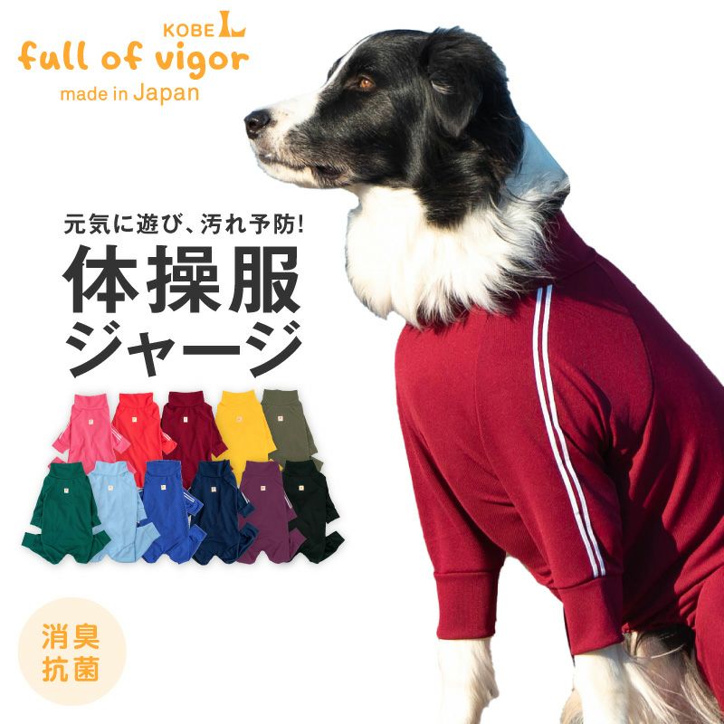 大型犬用 ドッグプレイ(R) 体操服 ジャージ つなぎ | ダックス、猫