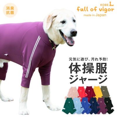 商品画像1