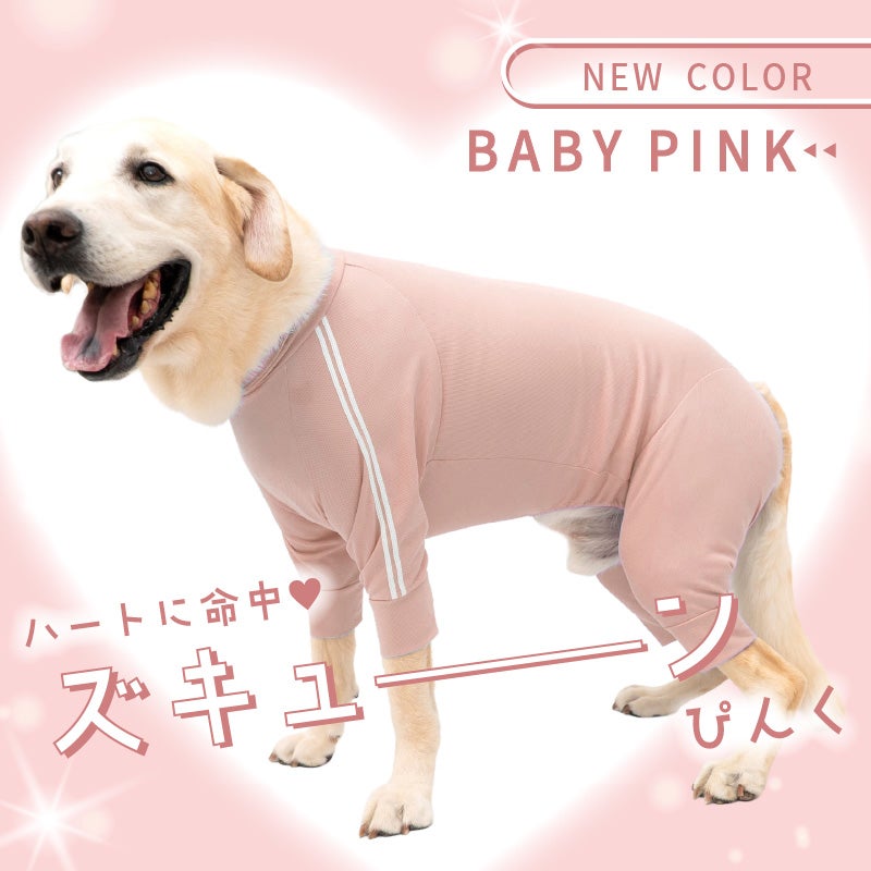 商品画像2