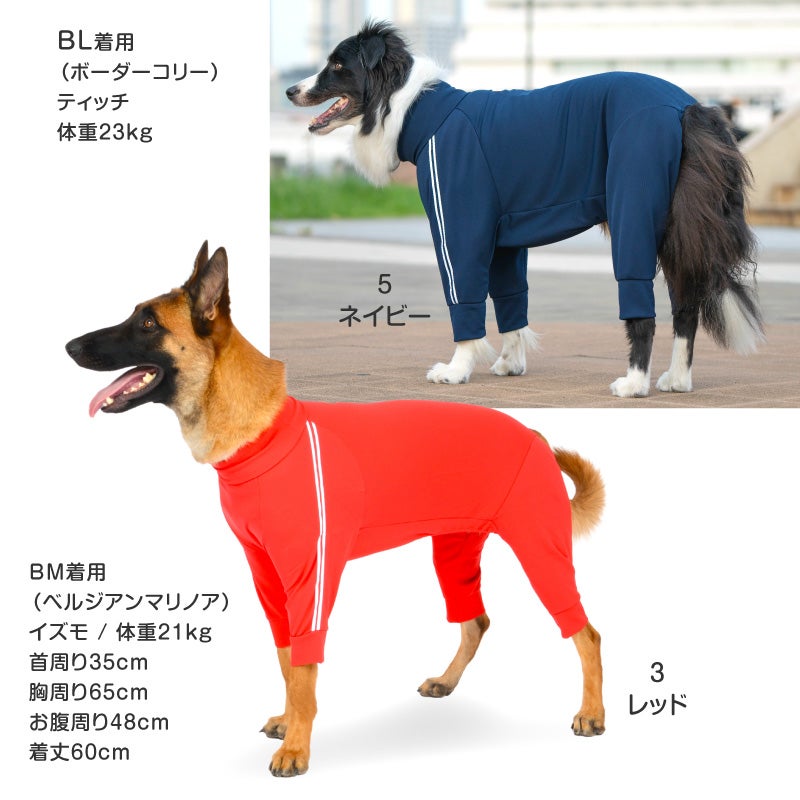 商品画像10