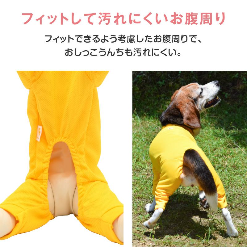 大型犬用 ドッグプレイ(R) 体操服 ジャージ つなぎ | ダックス、猫