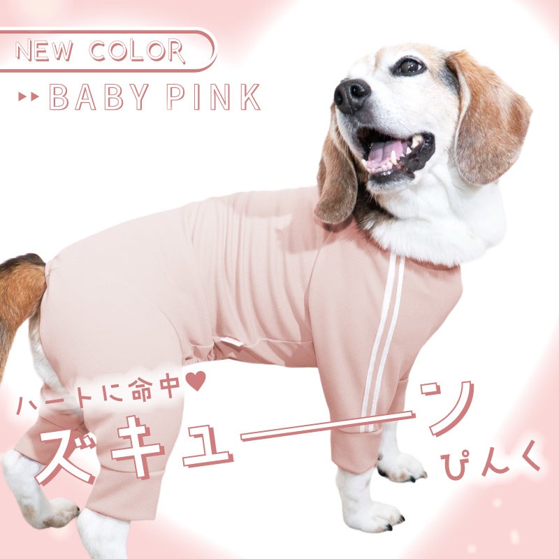 商品画像2