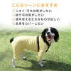 商品画像5