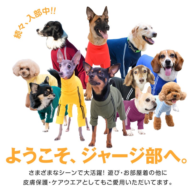 商品画像6