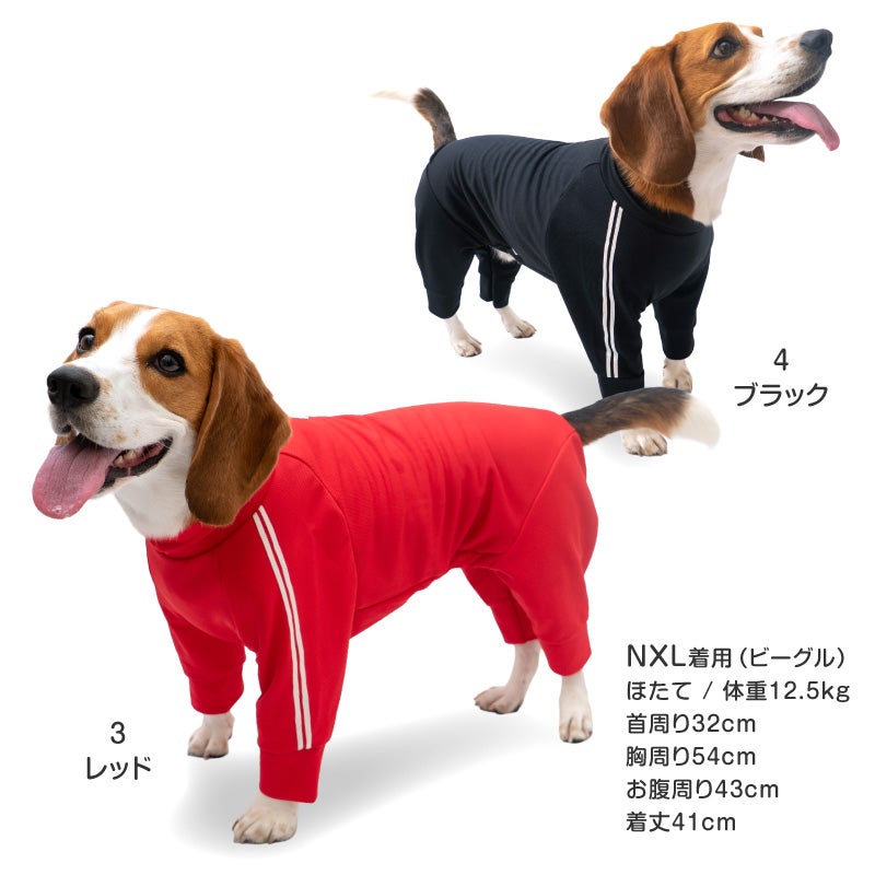 商品画像12