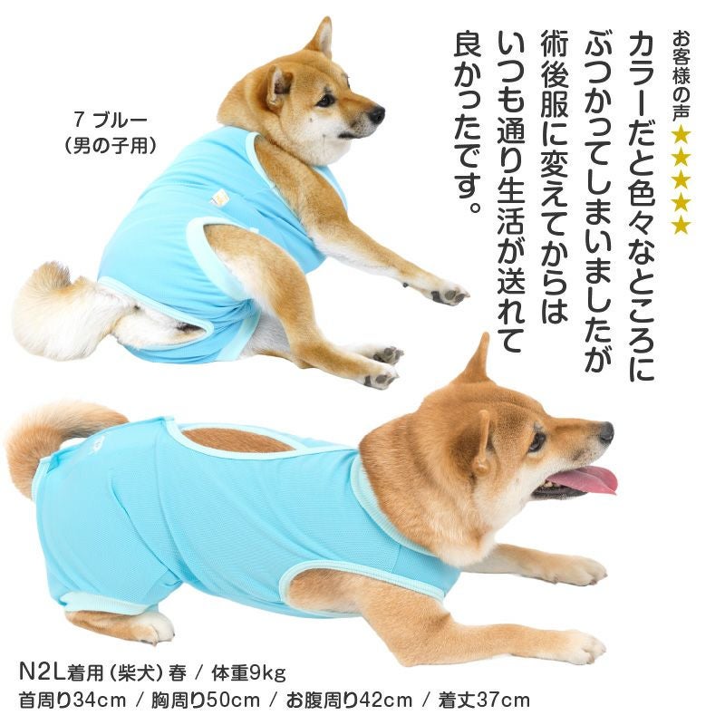 000000000202-13.jpg?size=l&w=
