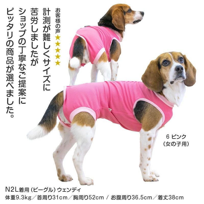 中型犬用 術後服 エリザベスウエア(R) 男の子 抗菌 消臭素材