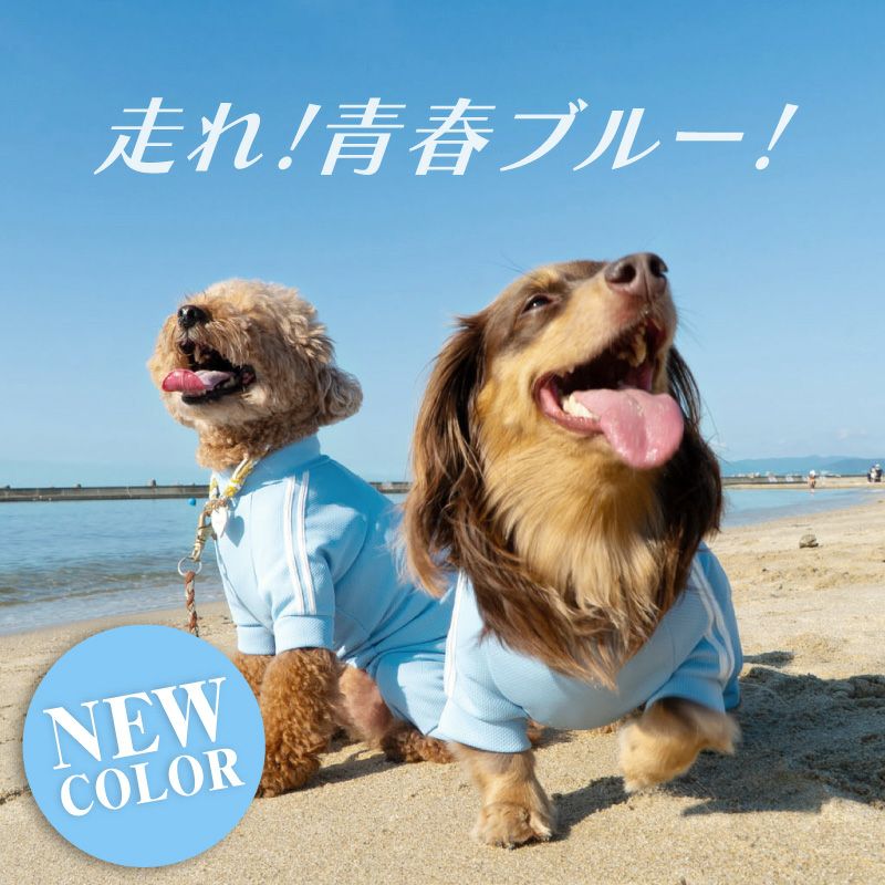 ドッグプレイ(R) 体操服 ジャージ つなぎ ダックス 小型犬用