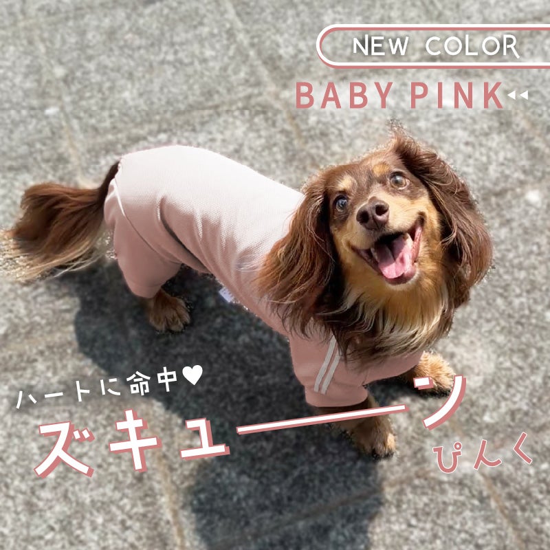 商品画像2