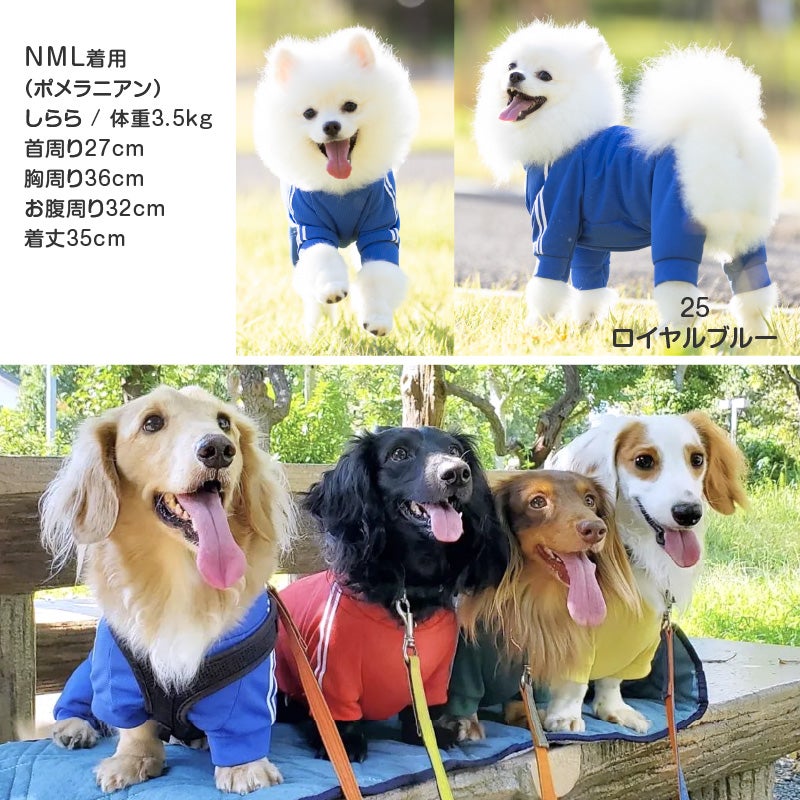 商品画像12