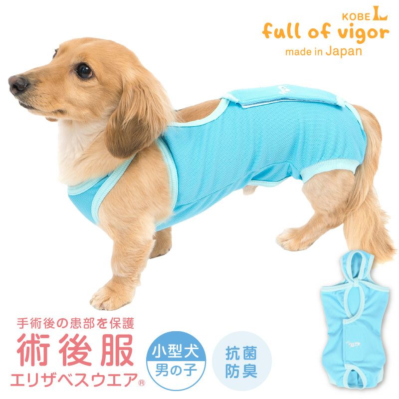 ファミリア 犬 チュニック 新品タグ付き80cm 可愛いワンちゃん大集合！！｜ファミリア伊勢丹新宿店ファミリア