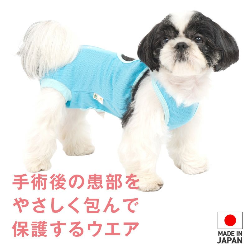 術後服 エリザベスウエア(R) 男の子 ダックス 小型犬用 抗菌 消臭素材