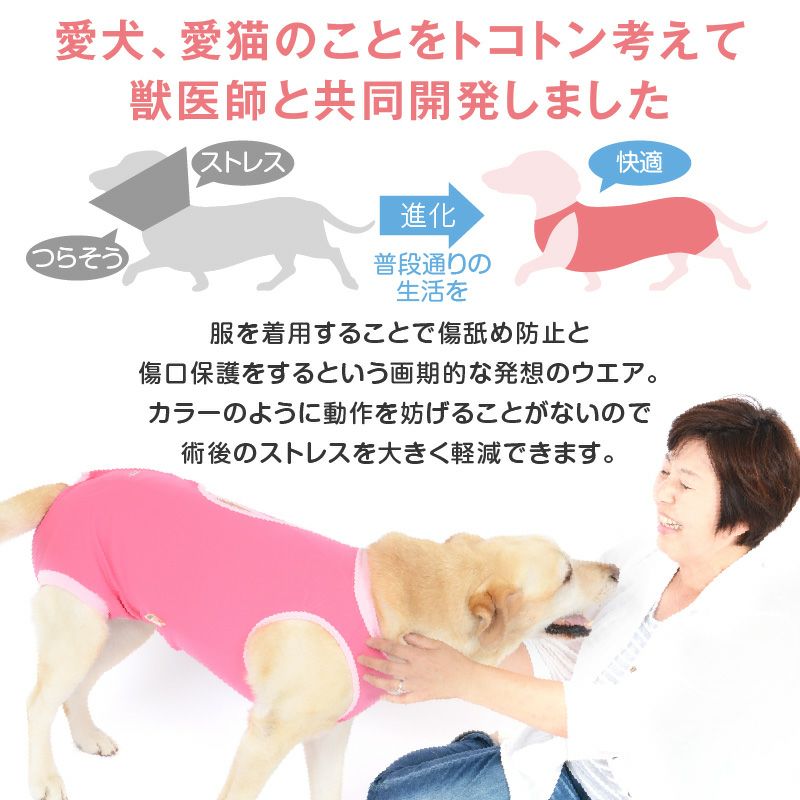 術後服 エリザベスウエア(R) 男の子 ダックス 小型犬用 抗菌 消臭素材