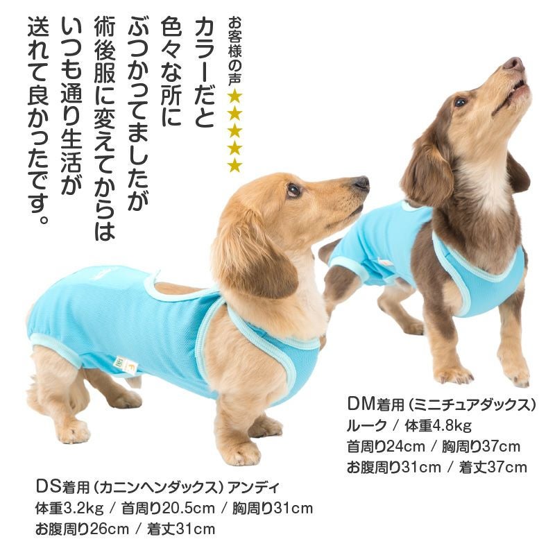 術後服 エリザベスウエア(R) 男の子 ダックス 小型犬用 抗菌 消臭素材