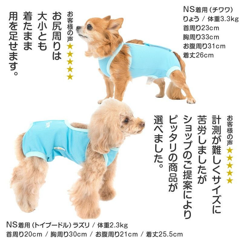 術後服 エリザベスウエア(R) 男の子 ダックス 小型犬用 抗菌 消臭素材