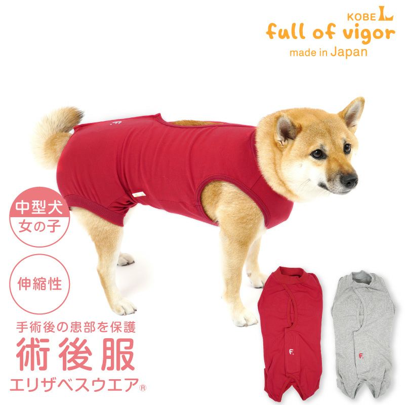 中型犬用 伸びて 着せやすい F. ベア天竺 術後服 エリザベスウエア(R