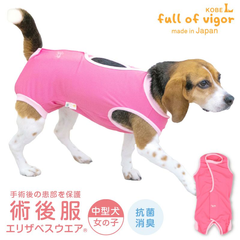 中型犬用 術後服 エリザベスウエア(R) 女の子 抗菌 消臭素材