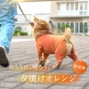 シンプル長袖インナーつなぎ