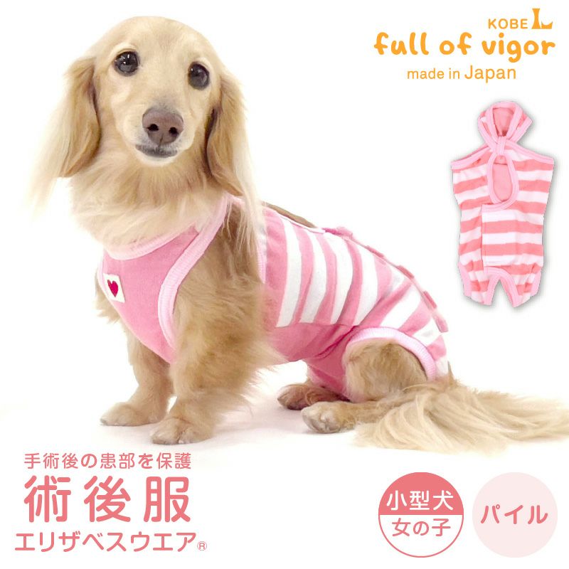パイル ボーダー 術後服 エリザベスウエア(R) 女の子 ダックス 小型犬