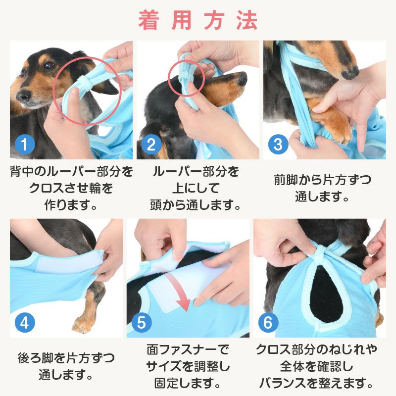 術後服 エリザベスウエア(R) 女の子 ダックス 小型犬用 抗菌 消臭素材