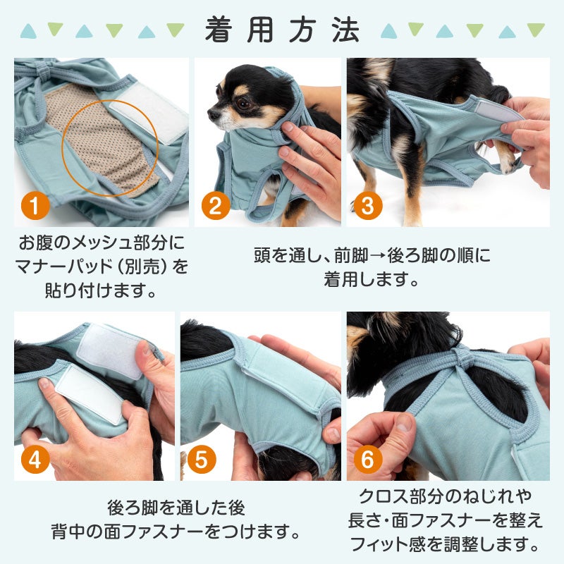 ベア天介護服マナーガード(R)(男女兼用/ダックス・小型犬用)