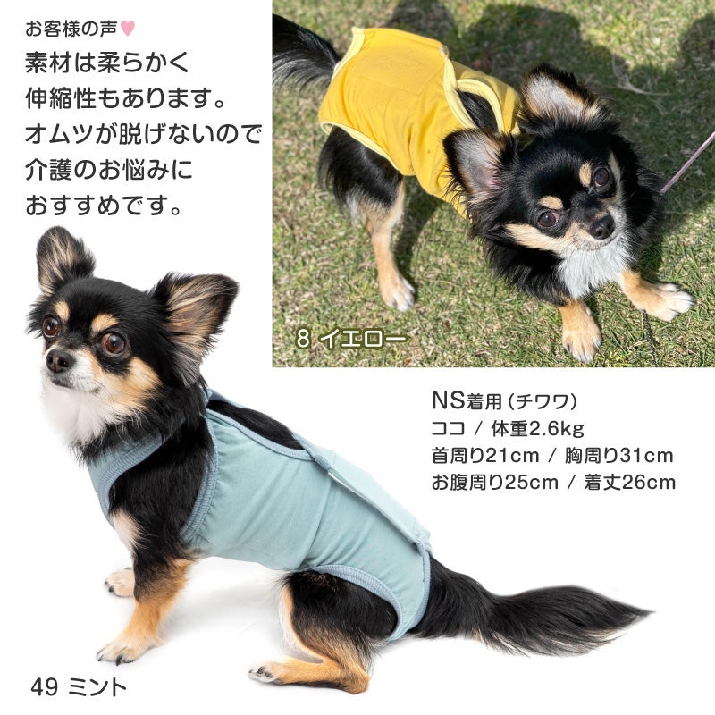 ベア天介護服マナーガード(R)(男女兼用/ダックス・小型犬用)