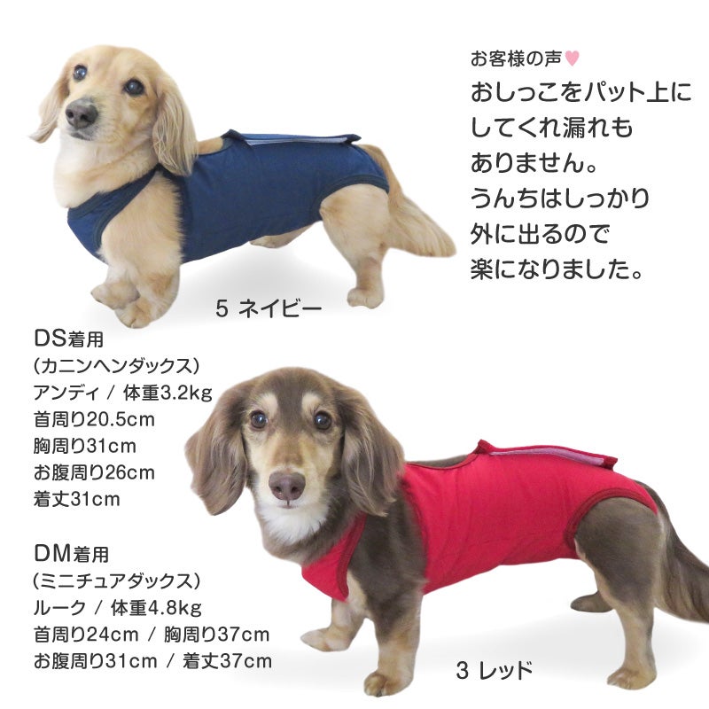 ベア天介護服マナーガード(R)(男女兼用/ダックス・小型犬用)