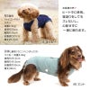 ベア天介護服マナーガード(R)(男女兼用/ダックス・小型犬用)