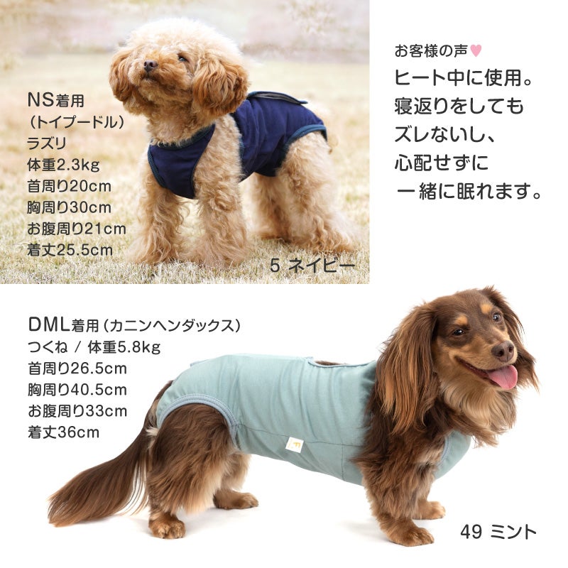 ベア天介護服マナーガード(R)(男女兼用/ダックス・小型犬用)